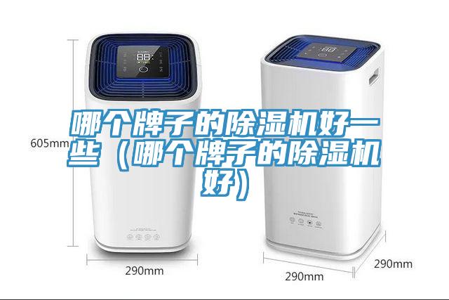 哪個牌子的除濕機好一些（哪個牌子的除濕機好）