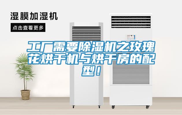 工廠需要除濕機之玫瑰花烘干機與烘干房的配型!