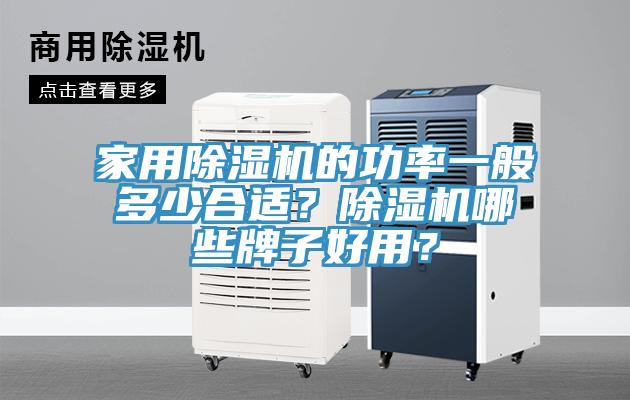 家用除濕機的功率一般多少合適？除濕機哪些牌子好用？