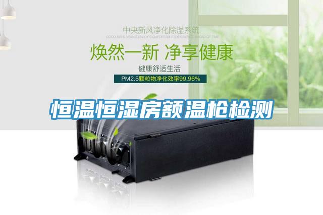恒溫恒濕房額溫槍檢測(cè)