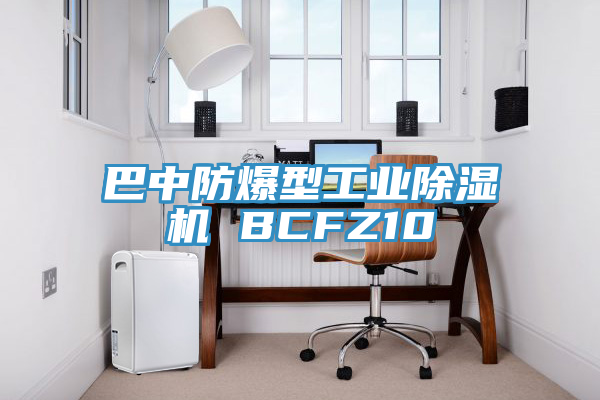 巴中防爆型工業除濕機 BCFZ10