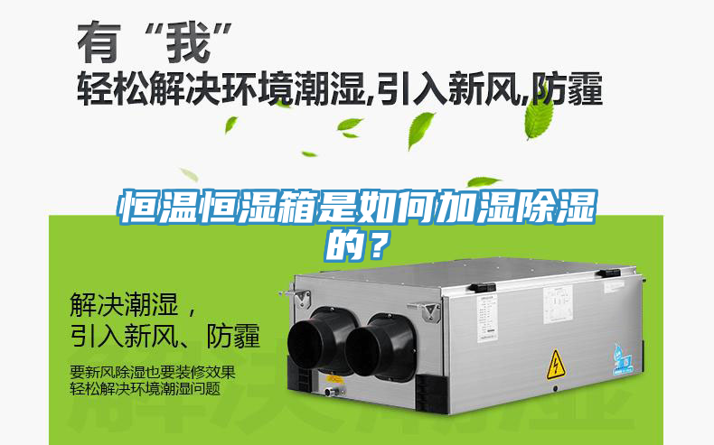 恒溫恒濕箱是如何加濕除濕的?