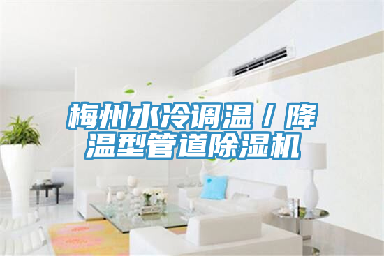 梅州水冷調溫/降溫型管道除濕機