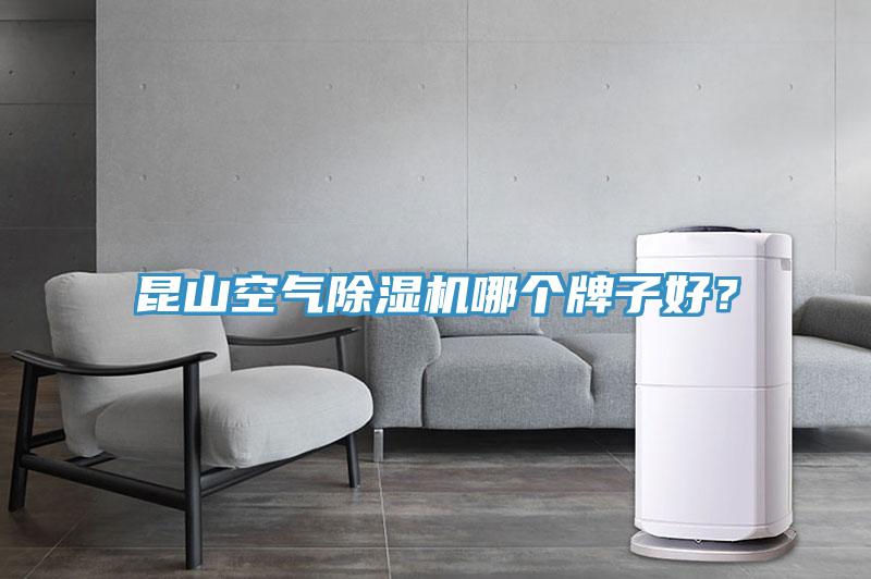 昆山空氣除濕機哪個牌子好？