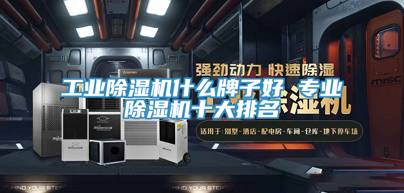 工業(yè)除濕機什么牌子好 專業(yè)除濕機十大排名