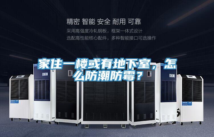 家住一樓或有地下室，怎么防潮防霉？