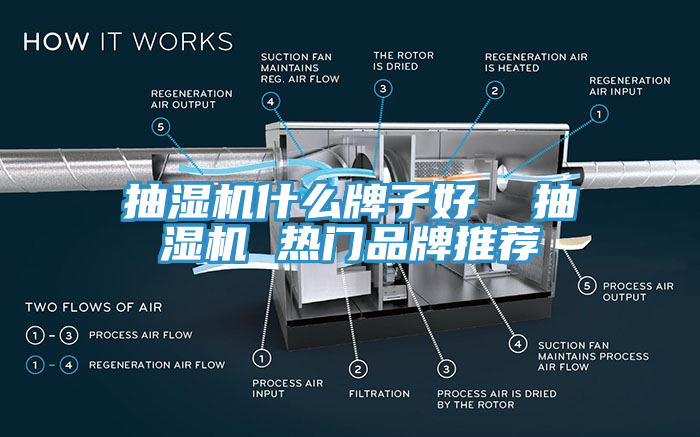 抽濕機什么牌子好 抽濕機 熱門品牌推薦