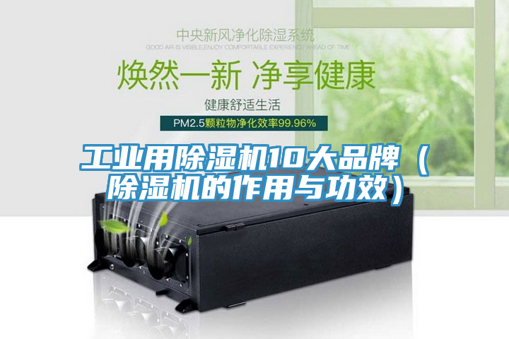 工業用除濕機10大品牌（除濕機的作用與功效）