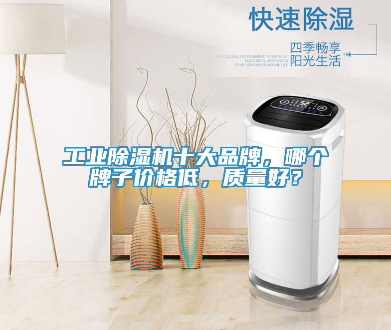 工業(yè)除濕機(jī)十大品牌，哪個(gè)牌子價(jià)格低，質(zhì)量好？