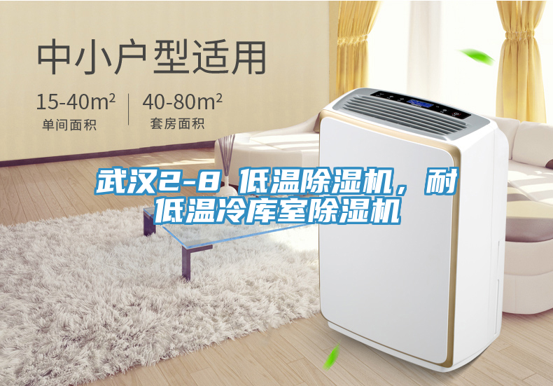武漢2-8℃低溫除濕機(jī)，耐低溫冷庫室除濕機(jī)