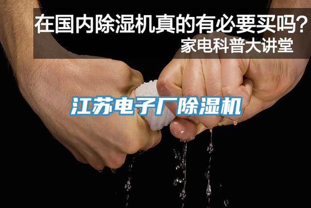 江蘇電子廠除濕機