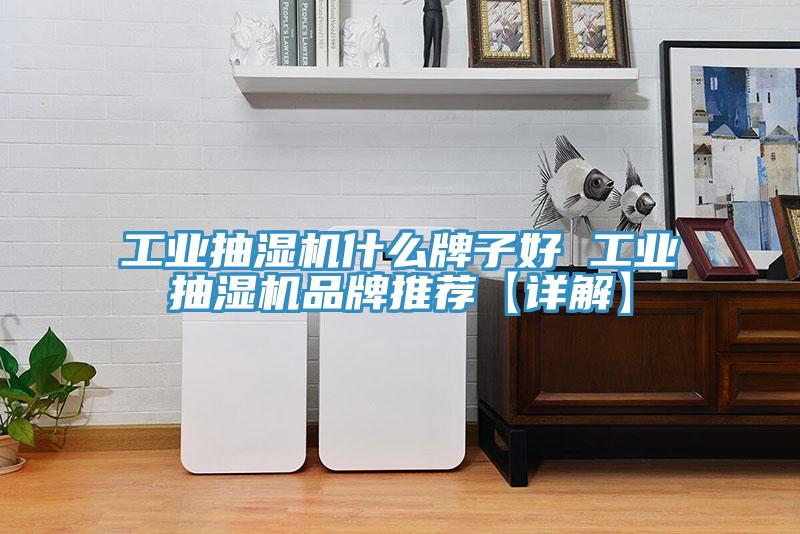 工業抽濕機什么牌子好 工業抽濕機品牌推薦【詳解】