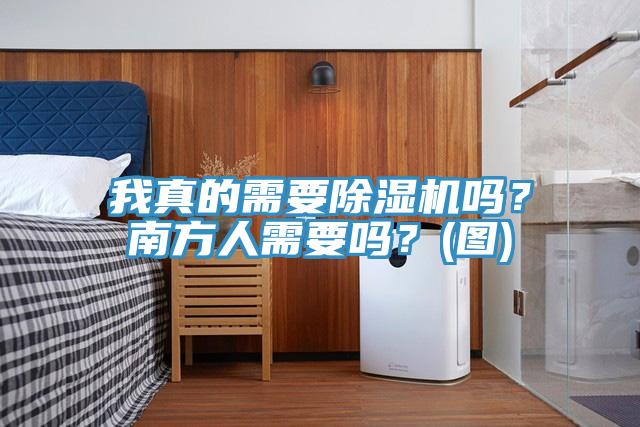 我真的需要除濕機(jī)嗎？南方人需要嗎？(圖)