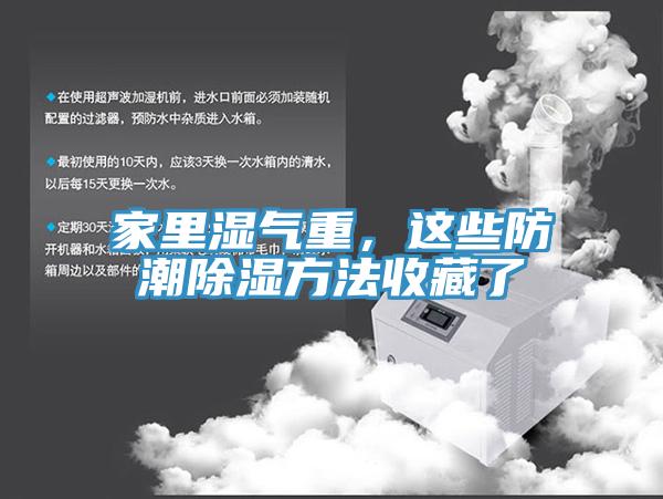 家里濕氣重,這些防潮除濕方法收藏了