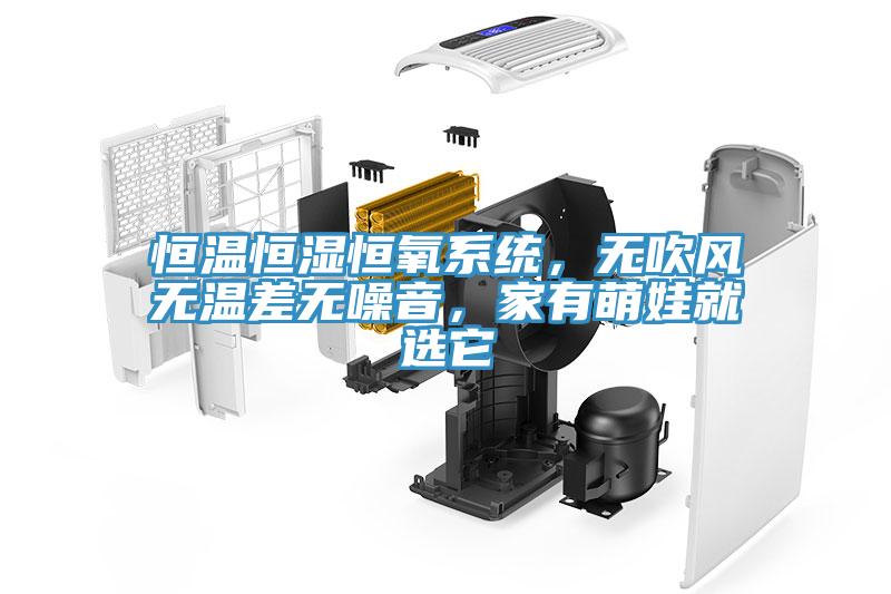 恒溫恒濕恒氧系統，無吹風無溫差無噪音，家有萌娃就選它