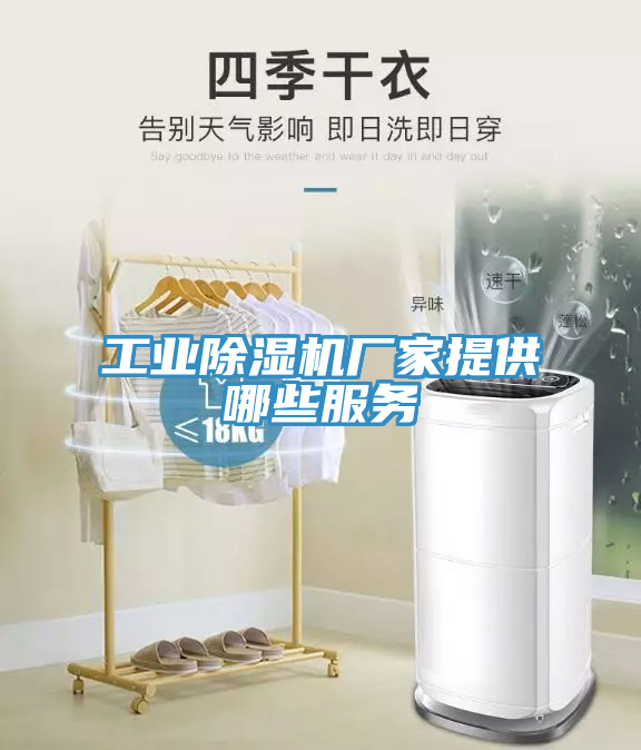 工業除濕機廠家提供哪些服務