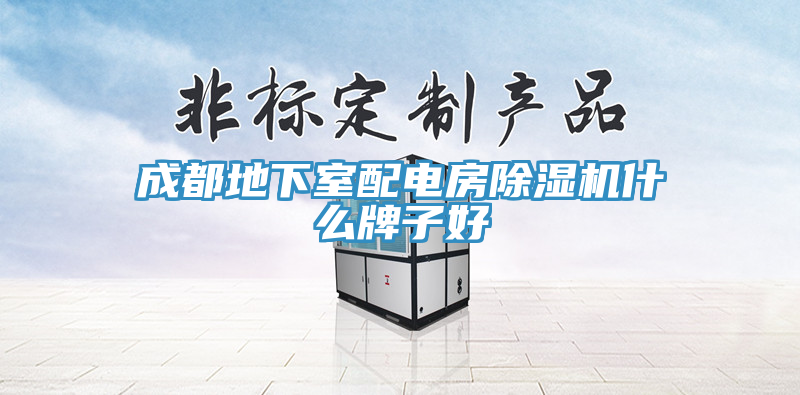 成都地下室配電房除濕機(jī)什么牌子好