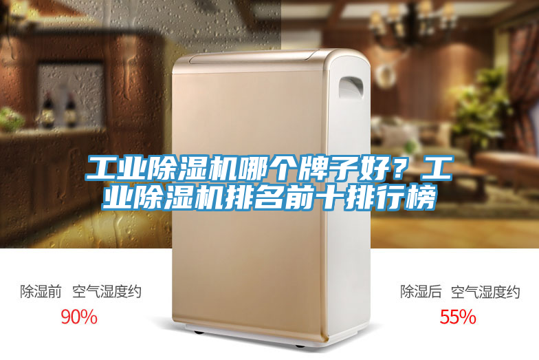 工業除濕機哪個牌子好？工業除濕機排名前十排行榜