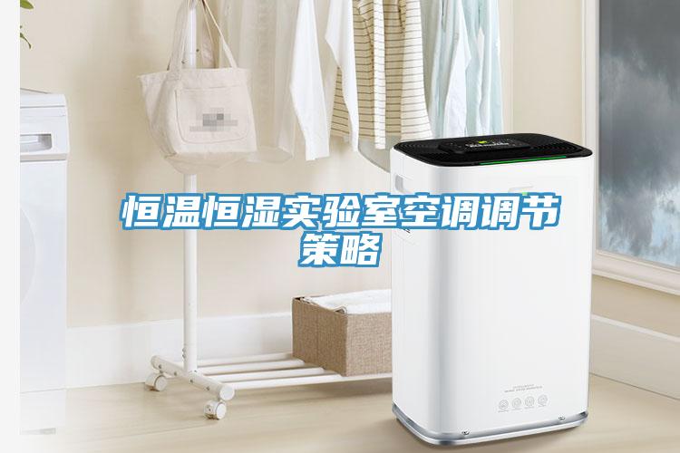 恒溫恒濕實驗室空調調節策略