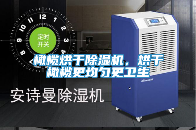 橄欖烘干除濕機(jī)，烘干橄欖更均勻更衛(wèi)生