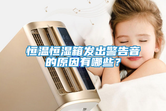恒溫恒濕箱發(fā)出警告音的原因有哪些？