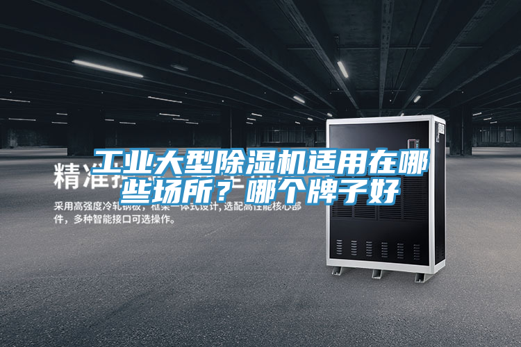 工業(yè)大型除濕機(jī)適用在哪些場所？哪個牌子好