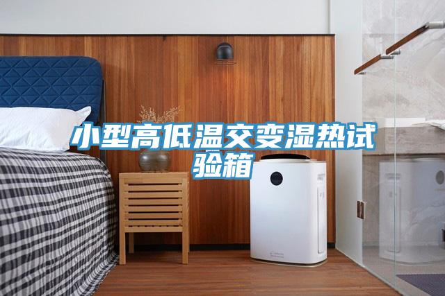 小型高低溫交變濕熱試驗(yàn)箱