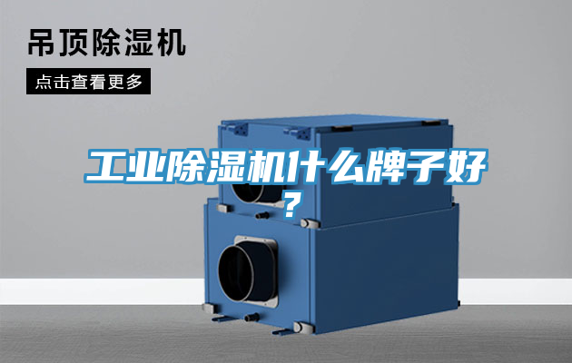 工業除濕機什么牌子好？