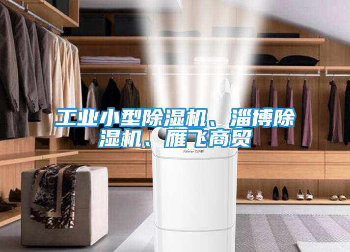 工業(yè)小型除濕機(jī)、淄博除濕機(jī)、雁飛商貿(mào)