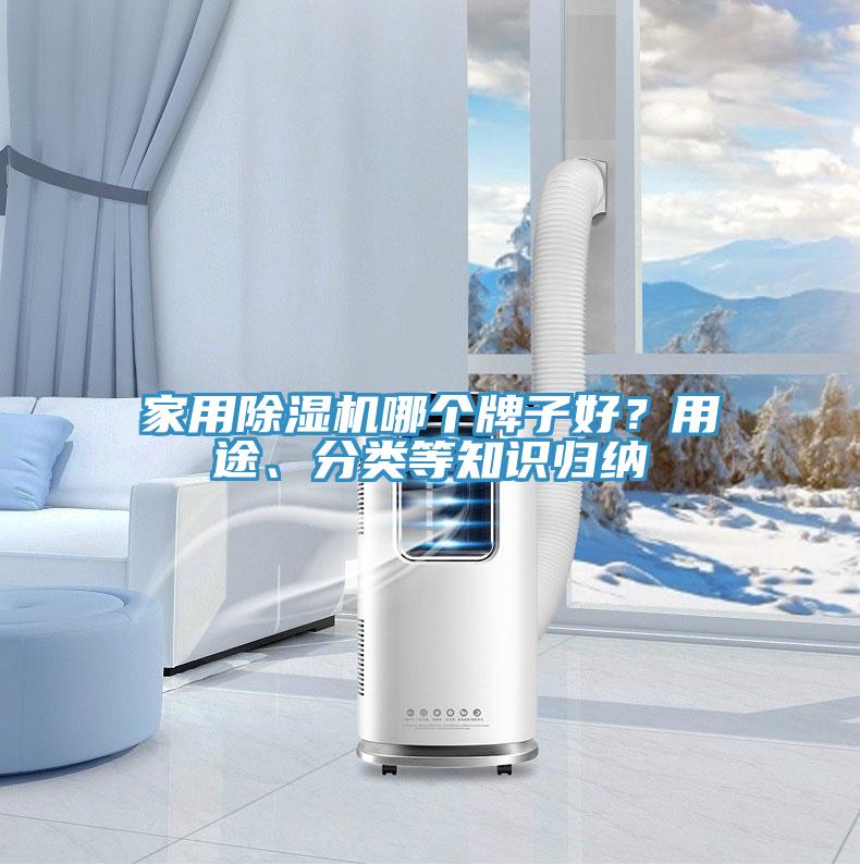 家用除濕機哪個牌子好？用途、分類等知識歸納