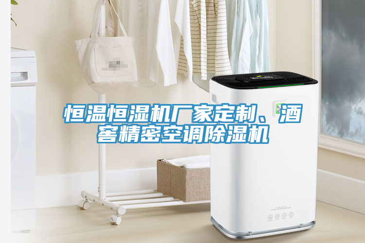 恒溫恒濕機廠家定制、酒窖精密空調除濕機