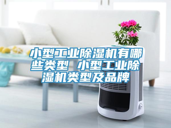 小型工業(yè)除濕機(jī)有哪些類(lèi)型 小型工業(yè)除濕機(jī)類(lèi)型及品牌