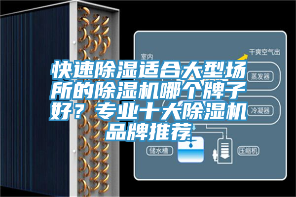 快速除濕適合大型場所的除濕機(jī)哪個(gè)牌子好？專業(yè)十大除濕機(jī)品牌推薦