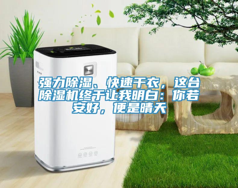 強力除濕、快速干衣，這臺除濕機終于讓我明白：你若安好，便是晴天