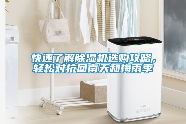 快速了解除濕機選購攻略,輕松對抗回南天和梅雨季