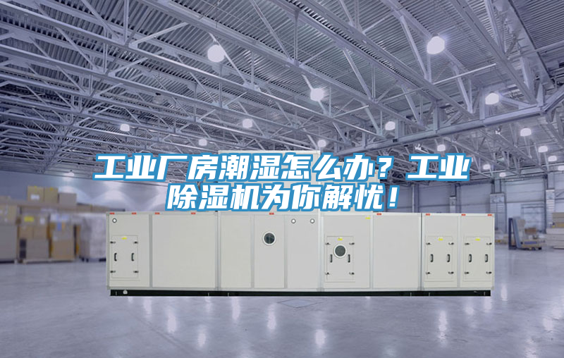 工業廠房潮濕怎么辦？工業除濕機為你解憂！