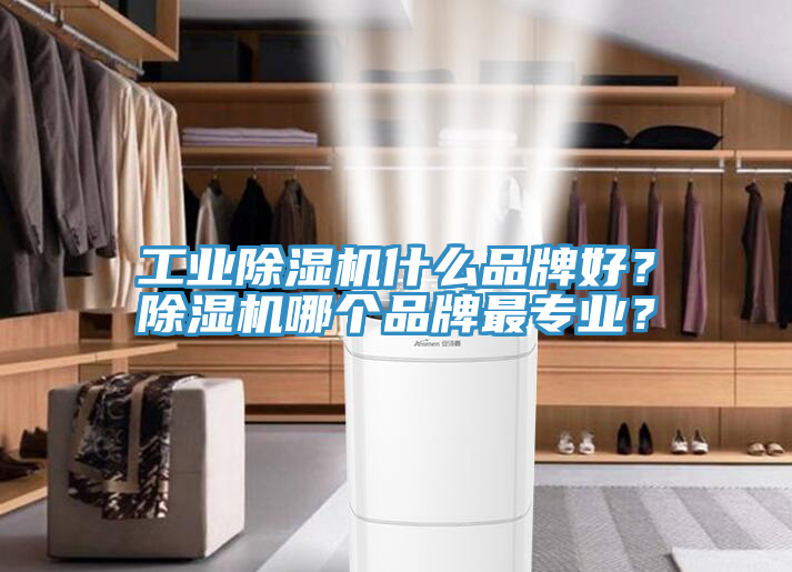 工業(yè)除濕機什么品牌好?除濕機哪個品牌最專業(yè)?