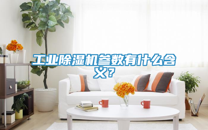 工業除濕機參數有什么含義？