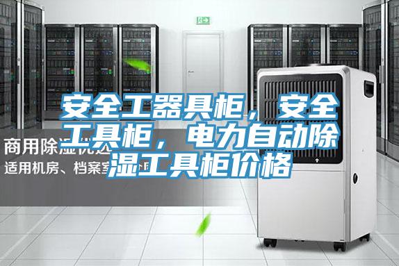 安全工器具柜，安全工具柜，電力自動除濕工具柜價格