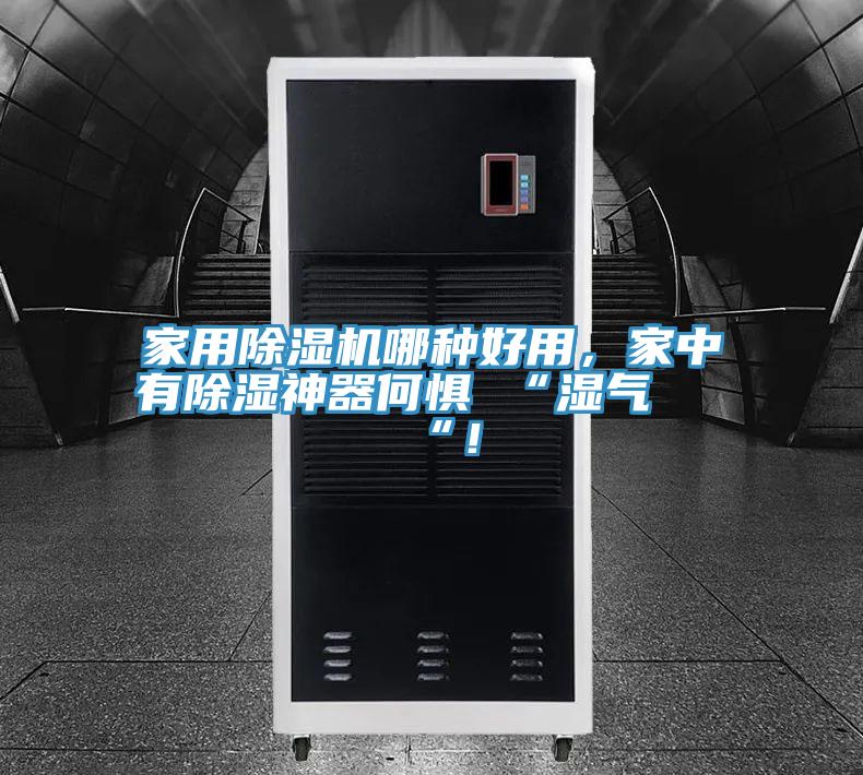 家用除濕機哪種好用,家中有除濕神器何懼 “濕氣 “!