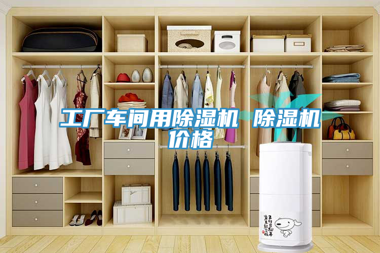 工廠車間用除濕機 除濕機價格