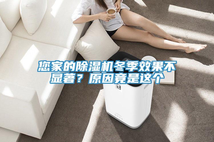 您家的除濕機冬季效果不顯著？原因竟是這個