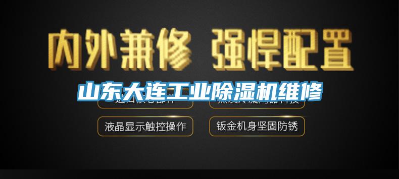 山東大連工業除濕機維修