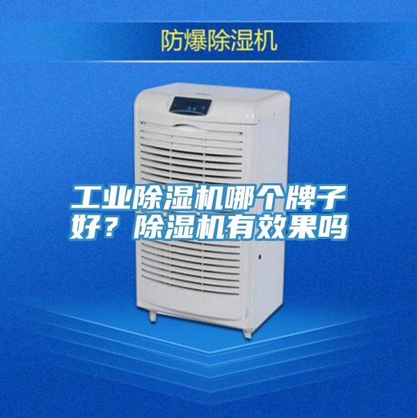 工業除濕機哪個牌子好？除濕機有效果嗎