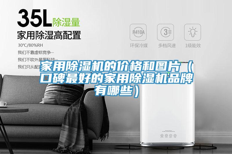 家用除濕機(jī)的價(jià)格和圖片（口碑最好的家用除濕機(jī)品牌有哪些）