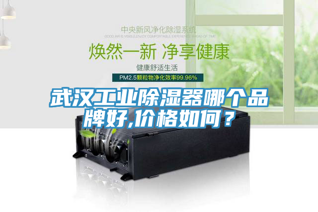 武漢工業(yè)除濕器哪個品牌好,價格如何？