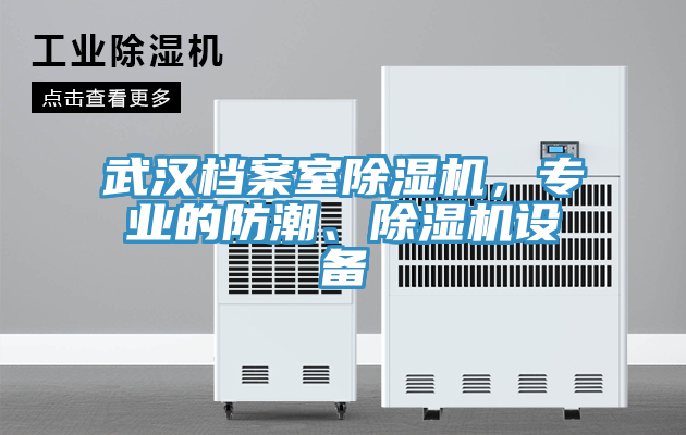 武漢檔案室除濕機(jī)，專業(yè)的防潮、除濕機(jī)設(shè)備