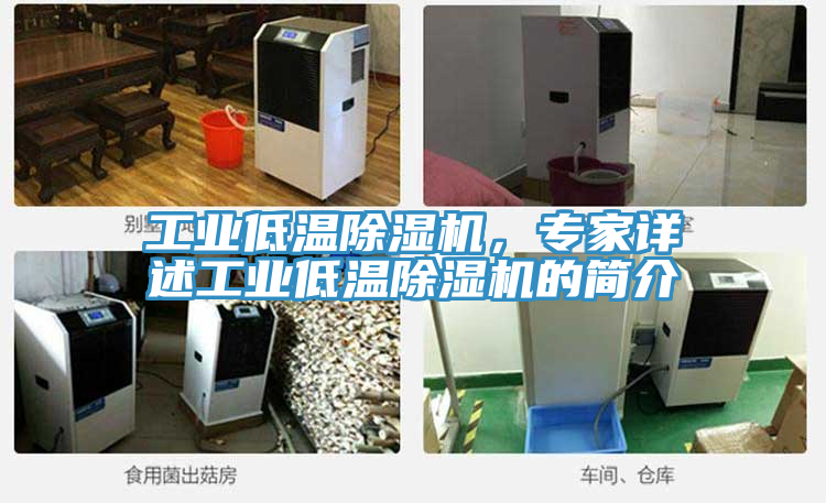 工業低溫除濕機，專家詳述工業低溫除濕機的簡介