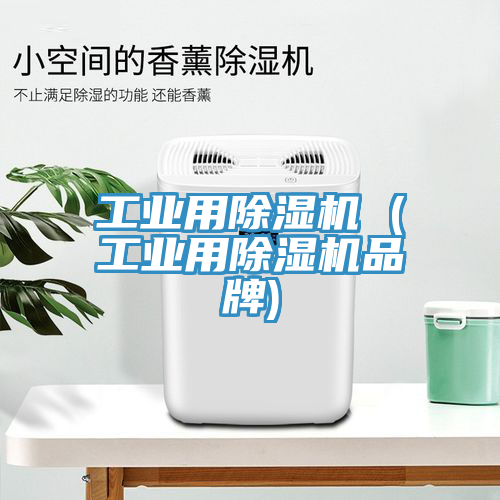 工業用除濕機 (工業用除濕機品牌)