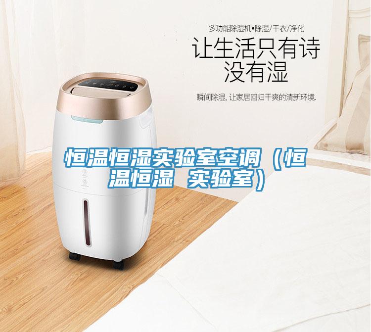 恒溫恒濕實驗室空調（恒溫恒濕 實驗室）